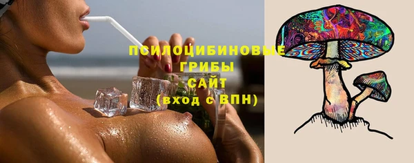 индика Алексеевка