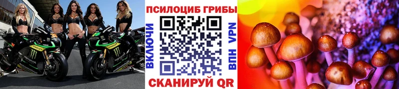 Галлюциногенные грибы GOLDEN TEACHER Инсар