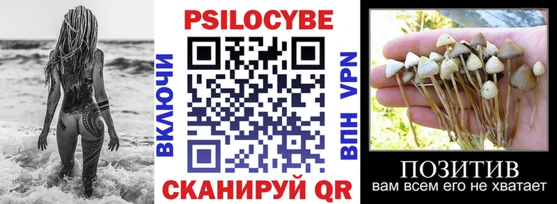 Псилоцибиновые грибы мицелий  Инсар 